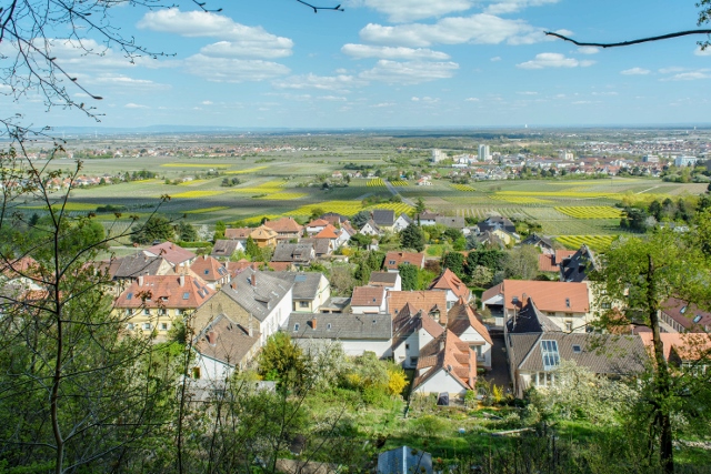 hotel tenner neustadt haardt